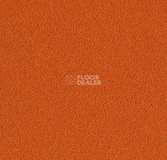 Ковровая плитка Westbond Ibond красная гамма 9568 фото 1 | FLOORDEALER