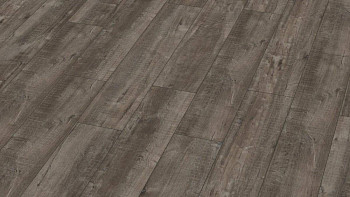 Kronotex Exquisit Plus d4785 Дуб Гала Титан фото 1 | FLOORDEALER