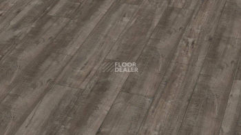 Ламинат Kronotex Exquisit Plus d4785 Дуб Гала Титан фото 1 | FLOORDEALER