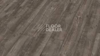 Ламинат Kronotex Exquisit Plus d4785 Дуб Гала Титан фото 1 | FLOORDEALER