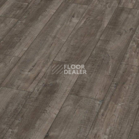 Ламинат Kronotex Exquisit Plus d4785 Дуб Гала Титан фото 1 | FLOORDEALER
