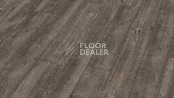Ламинат Kronotex Exquisit Plus d4785 Дуб Гала Титан фото 1 | FLOORDEALER