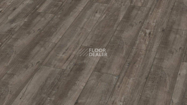 Ламинат Kronotex Exquisit Plus d4785 Дуб Гала Титан фото 1 | FLOORDEALER