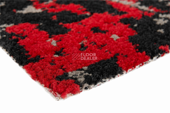 Innova Мираж q 492 05 фото 6 | FLOORDEALER