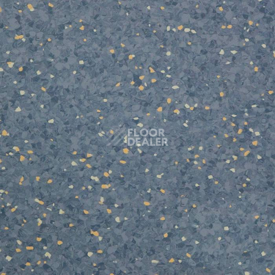 Линолеум Tarkett iQ Aria CARII-665 фото 1 | FLOORDEALER