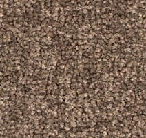 Ковролин Balsan Bolero roll 670 фото 1 | FLOORDEALER