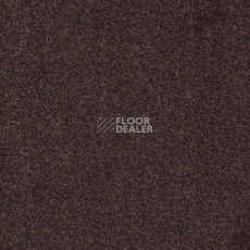 Ковролин Gleam W2W 306 Gleam w2w фото 1 | FLOORDEALER