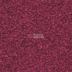 Ковровая плитка Forbo Sharepoint 1169 фото 1 | FLOORDEALER