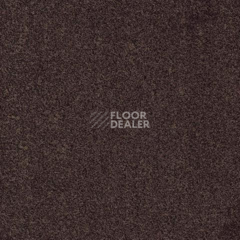 Ковролин Gleam W2W 306 Gleam w2w фото 1 | FLOORDEALER