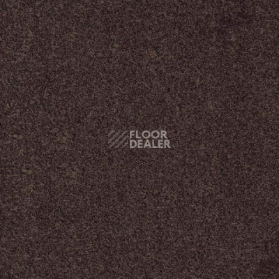 Ковролин Gleam W2W 306 Gleam w2w фото 1 | FLOORDEALER