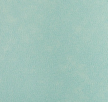 Forbo Emerald Standart 72408 фото 2 | FLOORDEALER