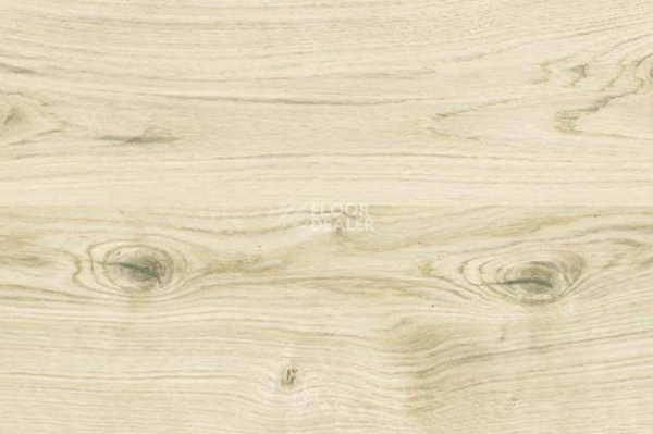 Пробковое покрытие Wood замковое OAK VIRGINIA WHITE фото 1 | FLOORDEALER