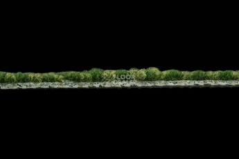 Haima Coral 30 фото 4 | FLOORDEALER