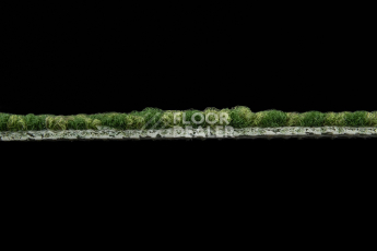 Haima Coral 30 фото 4 | FLOORDEALER