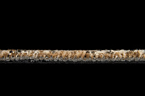 Balsan Take a Walk 740 Take a Walk фото 5 | FLOORDEALER