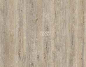 Ламинат My Step Arto 10мм Дуб Шарден D50157 фото 1 | FLOORDEALER