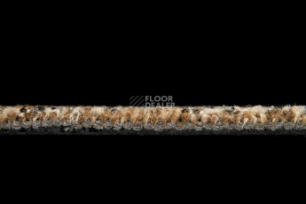 Balsan Take a Walk 740 Take a Walk фото 5 | FLOORDEALER