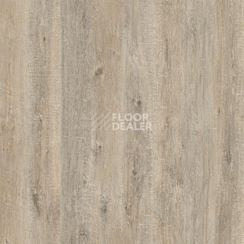 Ламинат My Step Arto 10мм Дуб Шарден D50157 фото 1 | FLOORDEALER