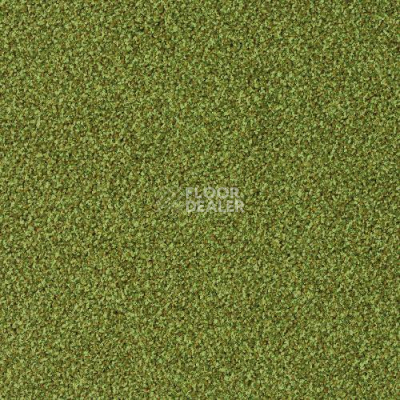 Ковровая плитка Desso Torso 7082 фото 1 | FLOORDEALER