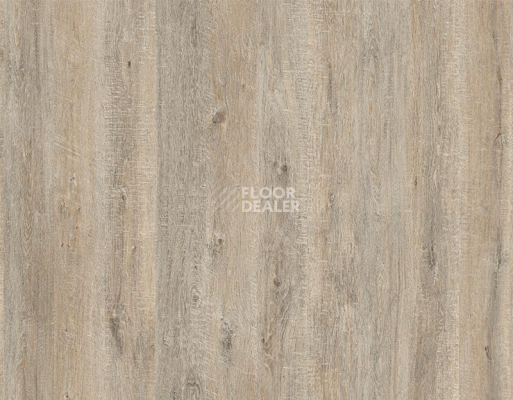 Ламинат My Step Arto 10мм Дуб Шарден D50157 фото 1 | FLOORDEALER