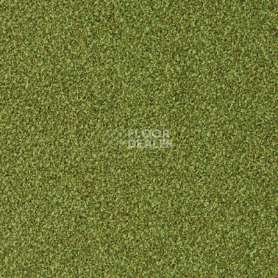 Ковровая плитка Desso Torso 7082 фото 1 | FLOORDEALER