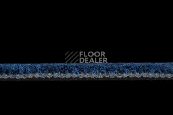 IVC Animate 543 фото 6 | FLOORDEALER