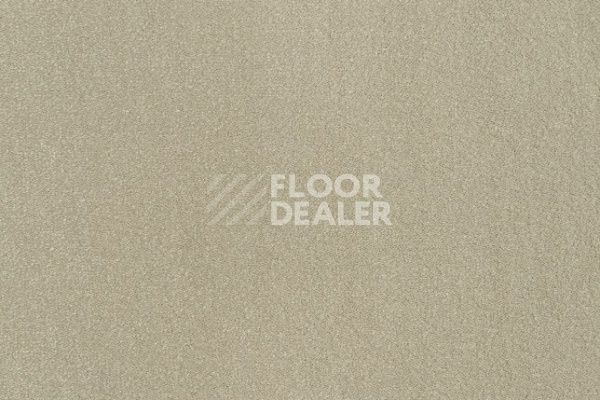 Ковролин ITC Luxury Flooring Cabernet Cabernet_120106_HR фото 1 | FLOORDEALER