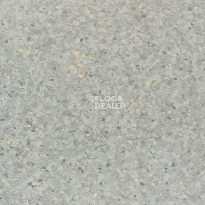 Линолеум Tarkett iQ Aria CARII-652 фото 1 | FLOORDEALER