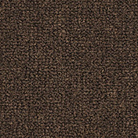 Ковролин Balsan Les Best 695 фото 1 | FLOORDEALER