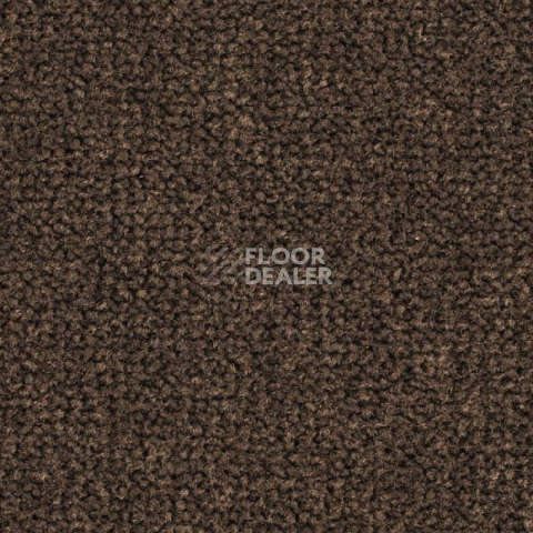 Ковролин Balsan Les Best 695 фото 1 | FLOORDEALER