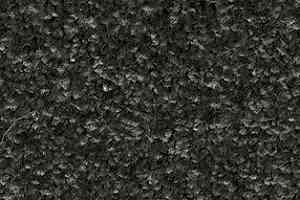 Ковролин AW Gaia Meridia 99 фото  | FLOORDEALER