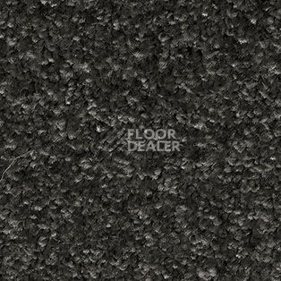 Ковролин AW Gaia Meridia 99 фото 1 | FLOORDEALER