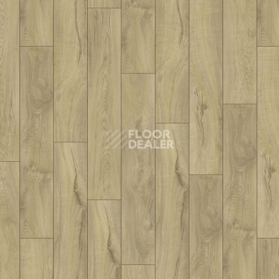 Ламинат Kronotex Mammut Plus d4672 Дуб Магнум Светлый фото 4 | FLOORDEALER