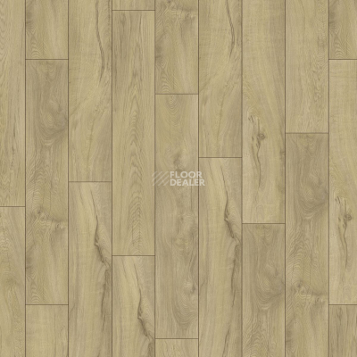 Ламинат Kronotex Mammut Plus d4672 Дуб Магнум Светлый фото 4 | FLOORDEALER