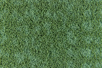 Flotex Colour embossed tiles to 546937 Metro Apple Organic Embossed фото 2 | FLOORDEALER