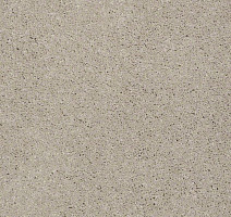Ковролин Shaw Design Texture Platinum 109 фото 1 | FLOORDEALER