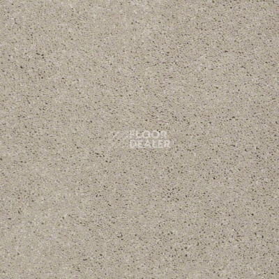 Ковролин Shaw Design Texture Platinum 109 фото 1 | FLOORDEALER