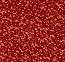 Ковролин Balsan Kaviar 570 фото 1 | FLOORDEALER