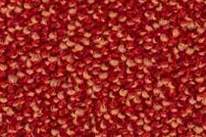 Ковролин Balsan Kaviar 570 фото  | FLOORDEALER