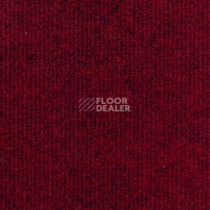 Ковролин Sintelon Ekvator 77653 фото 1 | FLOORDEALER