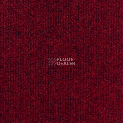 Ковролин Sintelon Ekvator 77653 фото 1 | FLOORDEALER