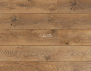 My Step Mega 12 ms 2912 Дуб Кёльн фото 1 | FLOORDEALER