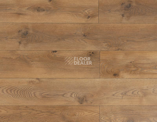 Ламинат My Step Mega 12 ms 2912 Дуб Кёльн фото 1 | FLOORDEALER