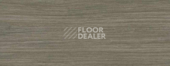 Плинтус Dollken EP 60/13 2447 фото 2 | FLOORDEALER