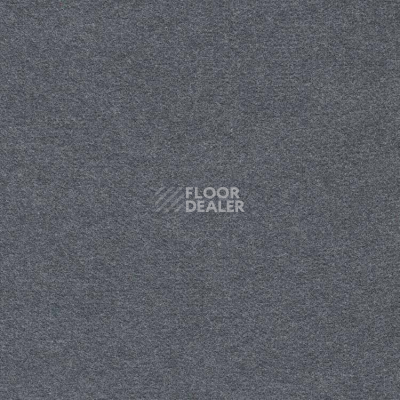 Ковролин Finett Feinwerk 803504 фото 1 | FLOORDEALER