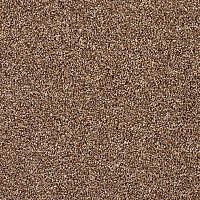 Ковролин Lano Pembridge Healthers 220 фото 1 | FLOORDEALER