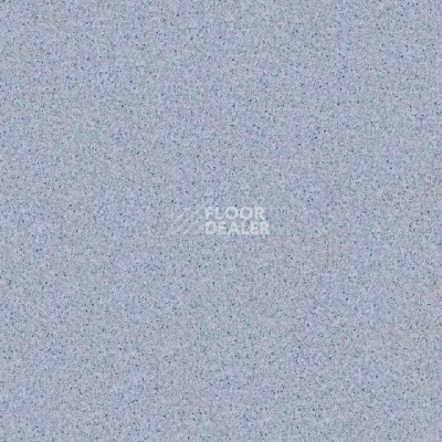 Линолеум Tarkett Primo Plus 308 фото 1 | FLOORDEALER