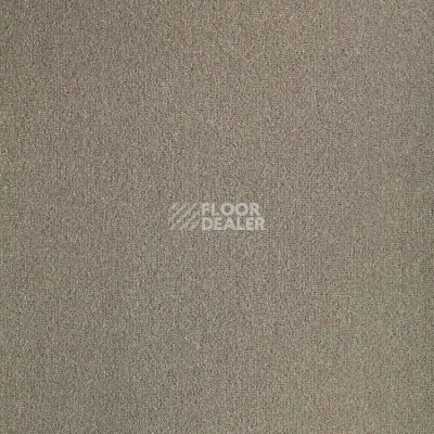 Ковролин Haima Unique Trend 76 фото 1 | FLOORDEALER