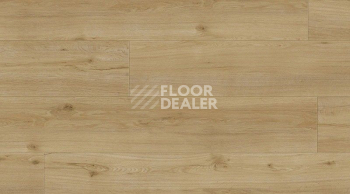 Кварцвиниловые полы Gerflor Creation 55 Clic 0347_ballerina фото 1 | FLOORDEALER
