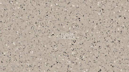 Линолеум Tarkett iq Toro Sc Toro CLAY 0958 фото 1 | FLOORDEALER